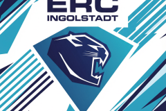 ERC Modern Logo