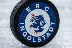 ERC Winter Puck