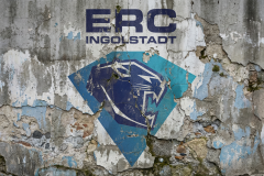 ERC Logo Mauer