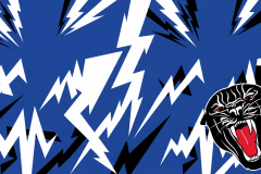 703a4747-6f67-4ff4-b1eb-1518ef5cc48e-gemini_image_gen_5e2ccdc518ec4d68a22f7f0ae3600e54_img_vnm8Y0Qm44p2oHiqCd63f-scaled